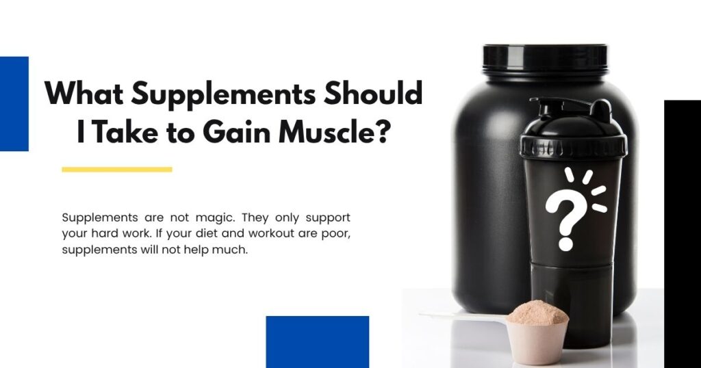 What Supplements Should I Take to Gain Muscle?